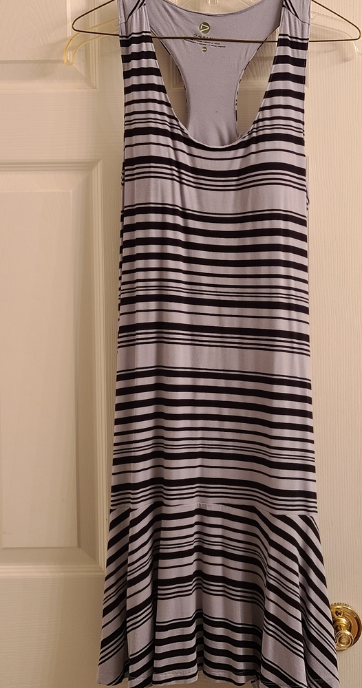 Dakini Drop Waist Dress size medium